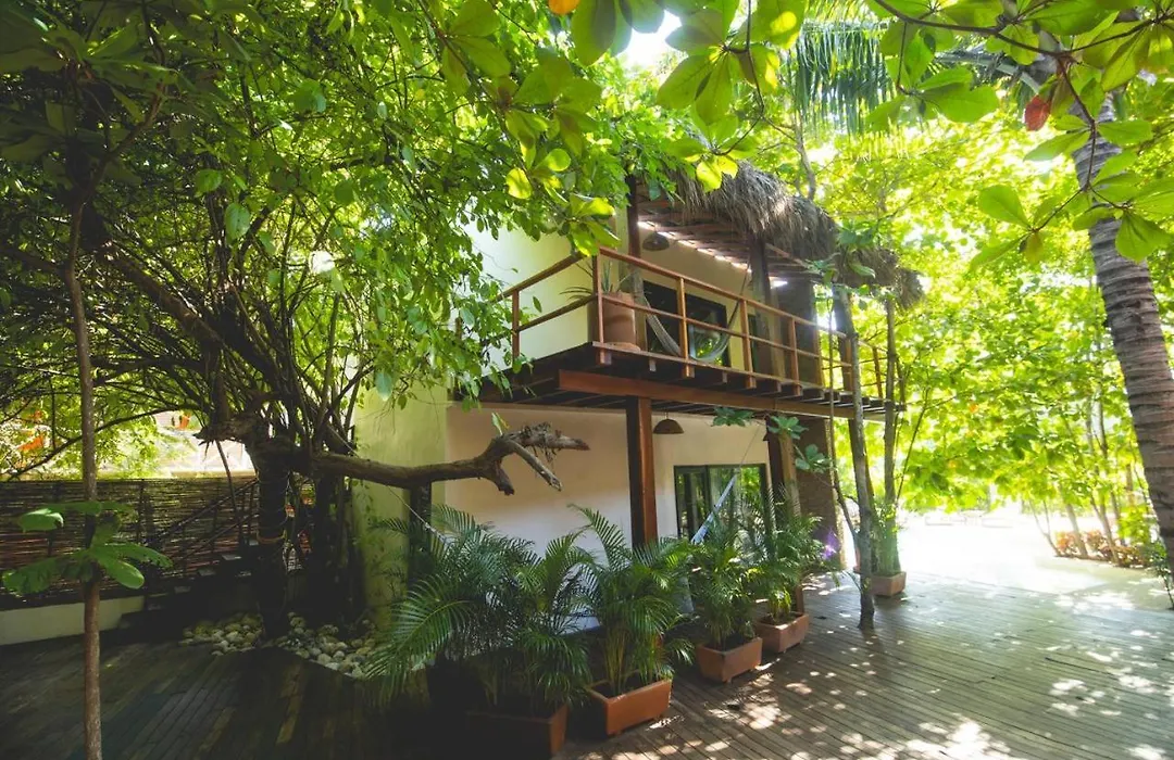 Hotel Noga-1