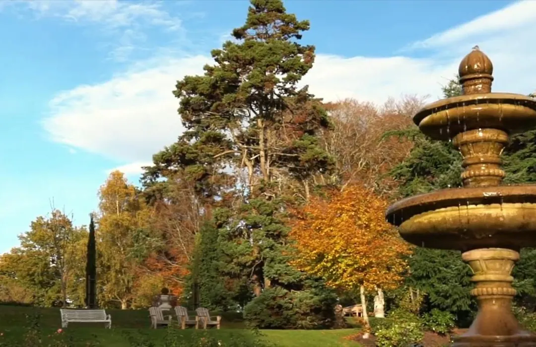 Tinakilly Country House Hotel-1