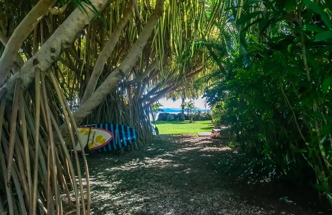 Aroha Taveuni Beachfront Bures-1