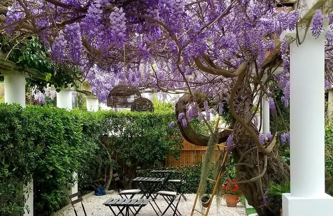 Chez Louis-1