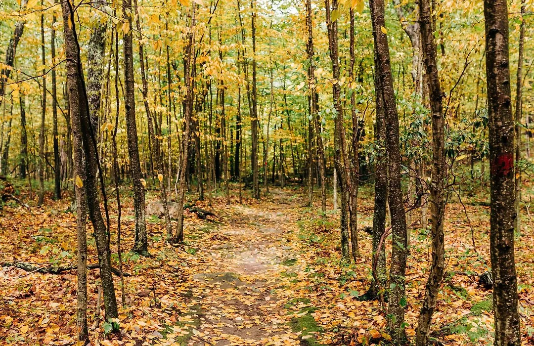 Mohican Outdoor Center-1