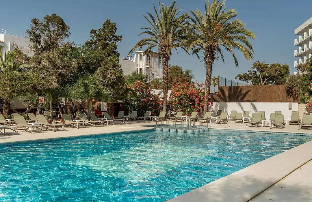 Vago Ibiza-1