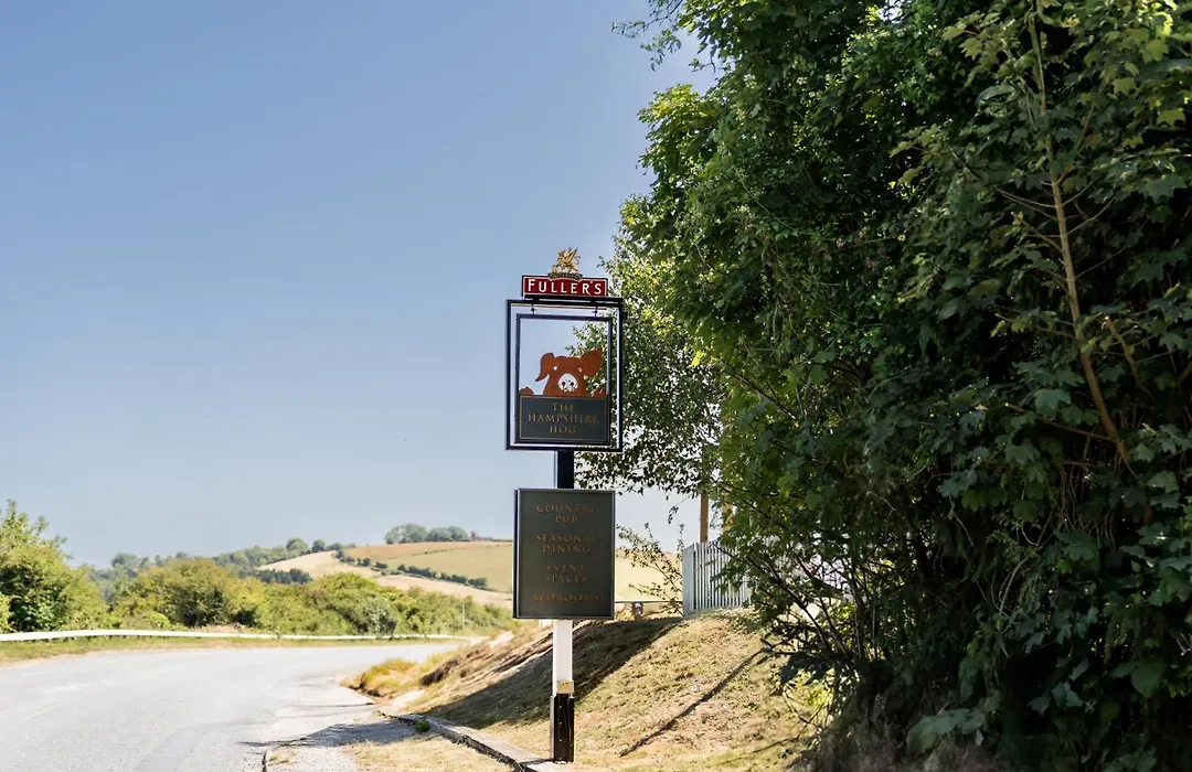 The Hampshire Hog-1