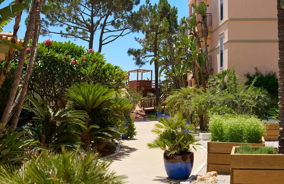 Portobay Blue Ocean (Adults Only)-1