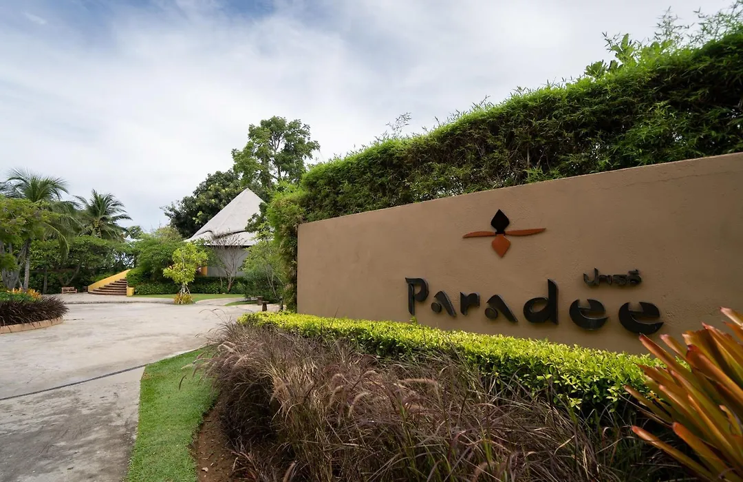 Paradee-1