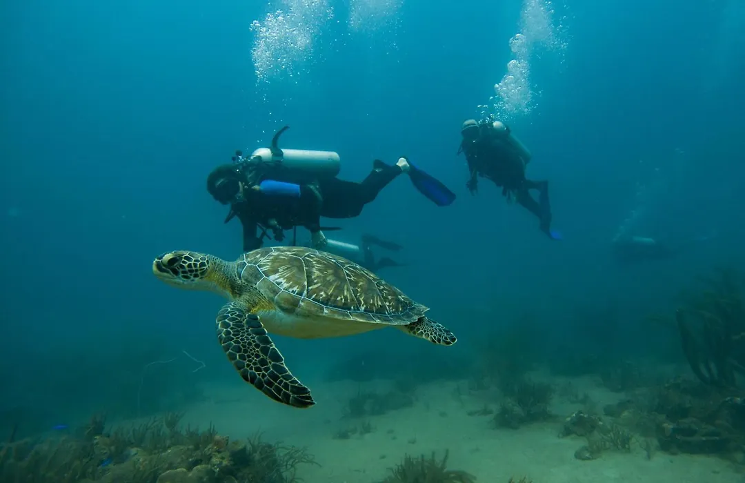 Ocean Lovers Taganga - Padi Dive Center & Hostel-1