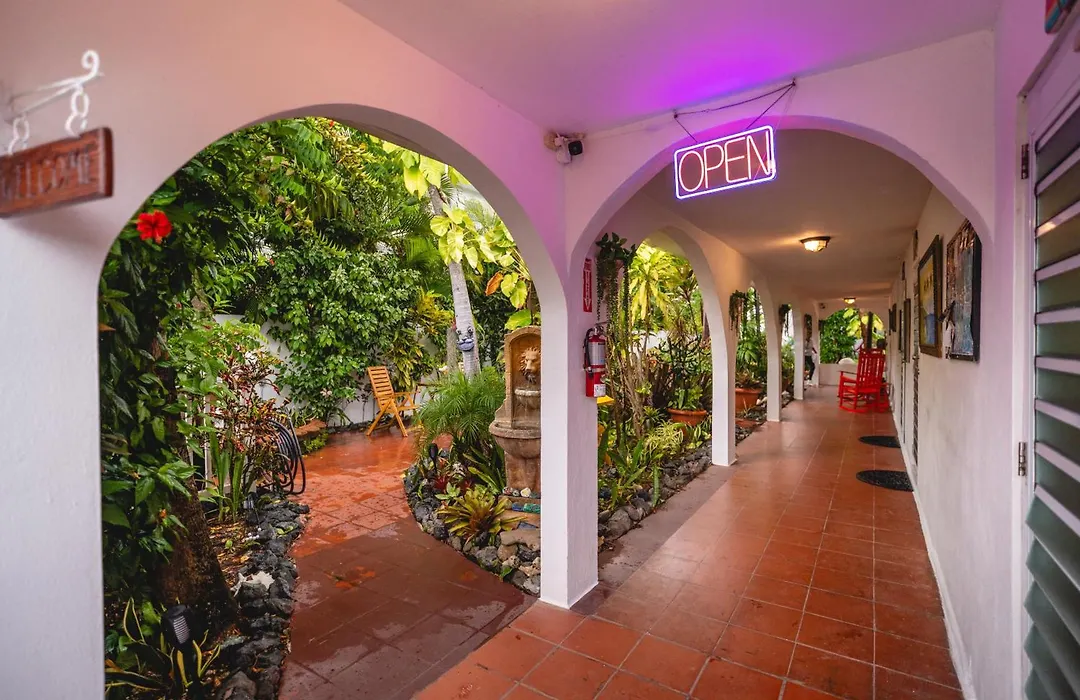 Coconut Palms Inn-1