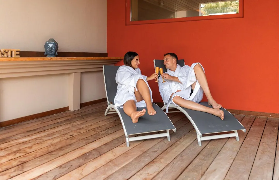 Brit Hotel, Spa & Restaurant - Colmar Est-1