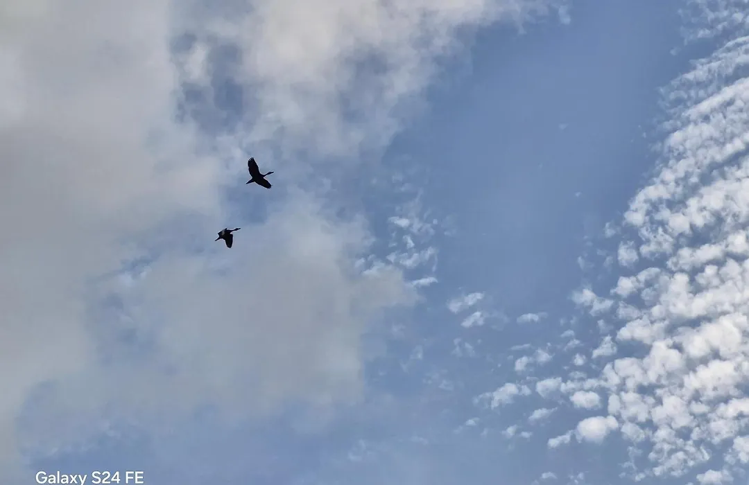 Villa Esmeralda-1