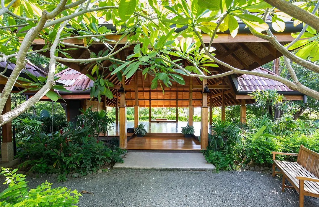 Bodhi Tree Yoga Resort-1