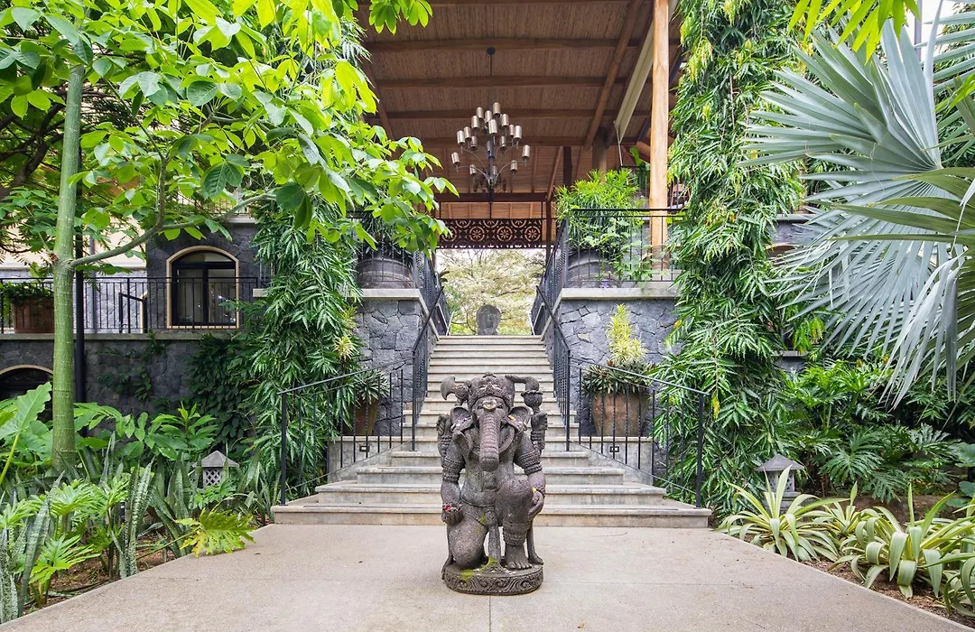 Bodhi Tree Yoga Resort-1