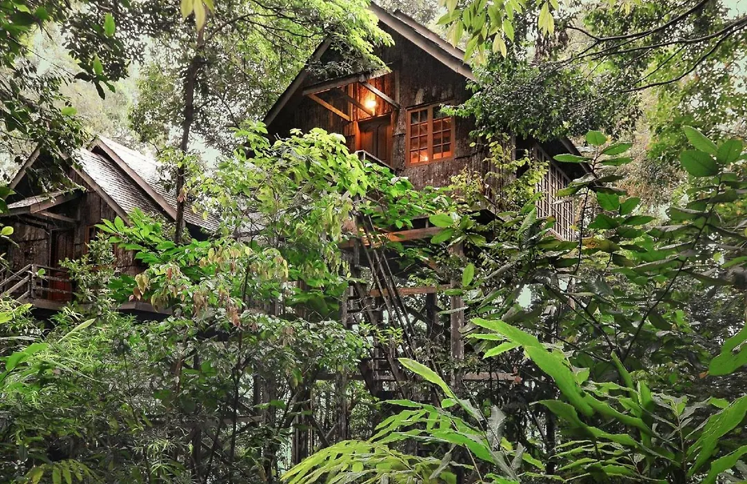 Permai Rainforest Resort-1
