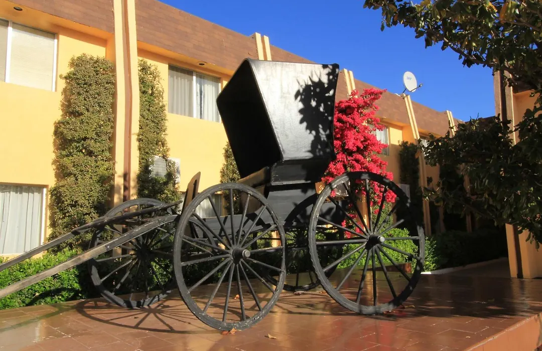 Hotel Sicomoro-1