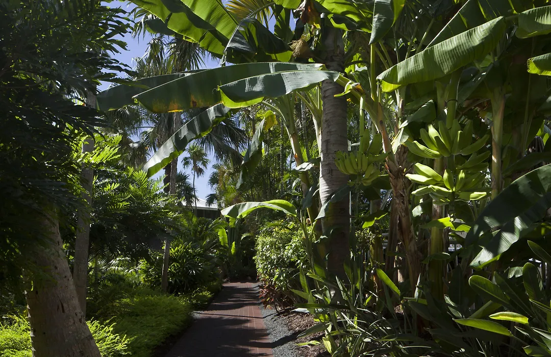 Pier House Resort & Spa-1