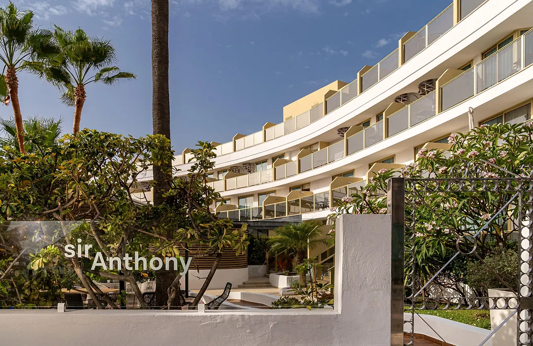 Sir Anthony-1