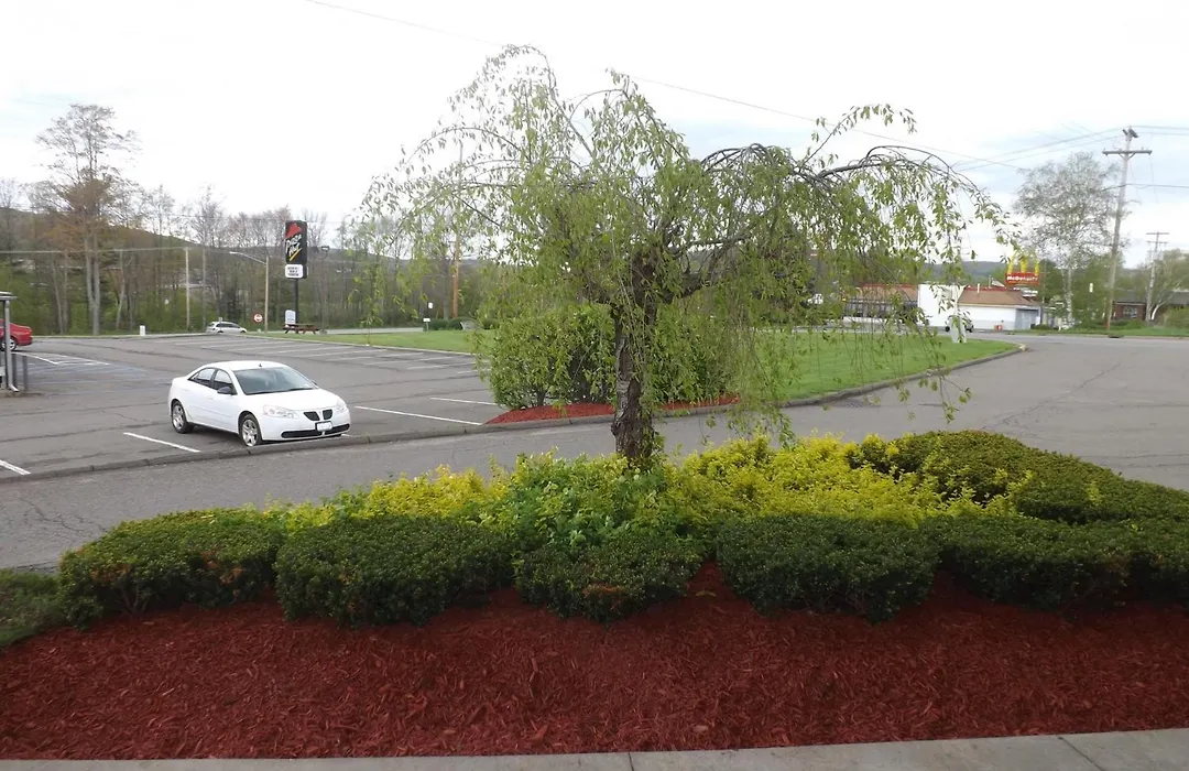 Super 8 By Wyndham Sidney Ny-1