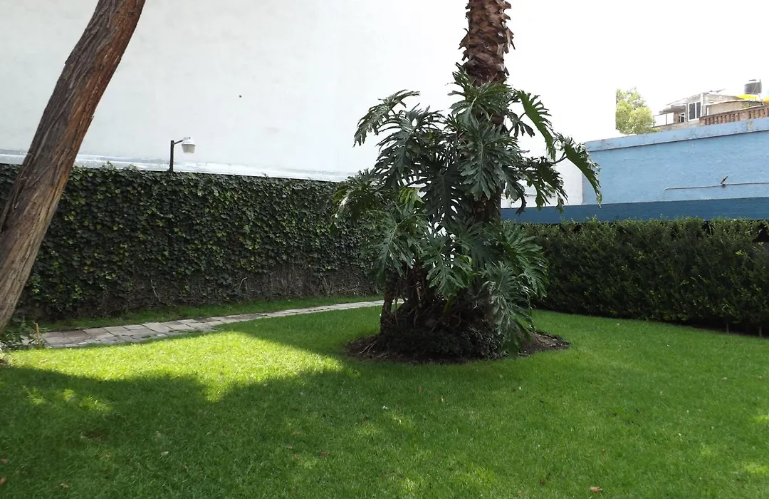 Pedregal Palace-1