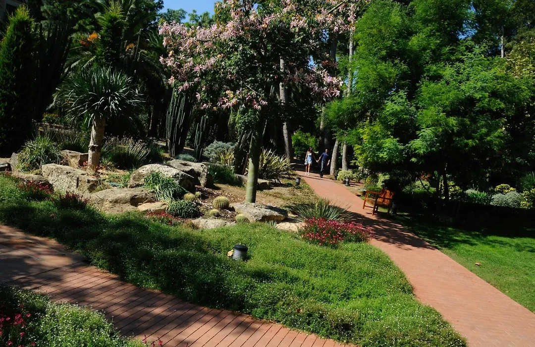 Termes Montbrio Hotel&Spa-1