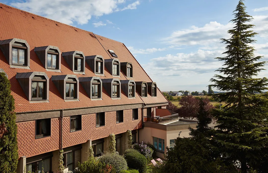 Hotel L'Europe Colmar, BW Signature Collection-1