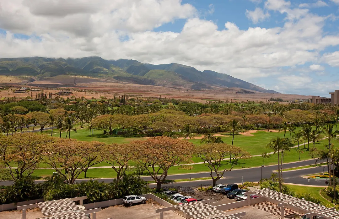 Kaanapali Alii-1