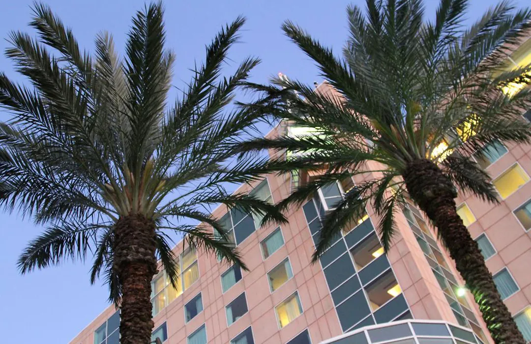 Moody Gardens Hotel Spa&Convention Center-1