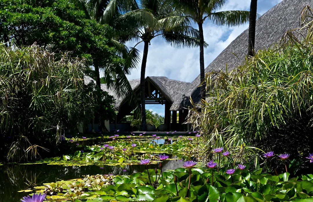 Westin Bora Bora Resort & Spa-1