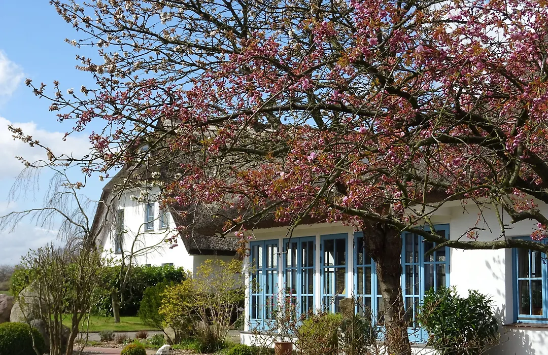 Landhotel Kastanienallee Putbus-1
