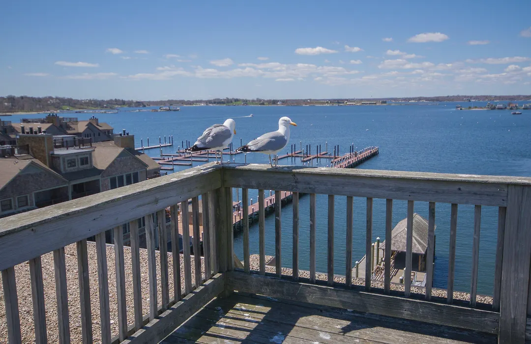 Club Wyndham Inn On The Harbor-1