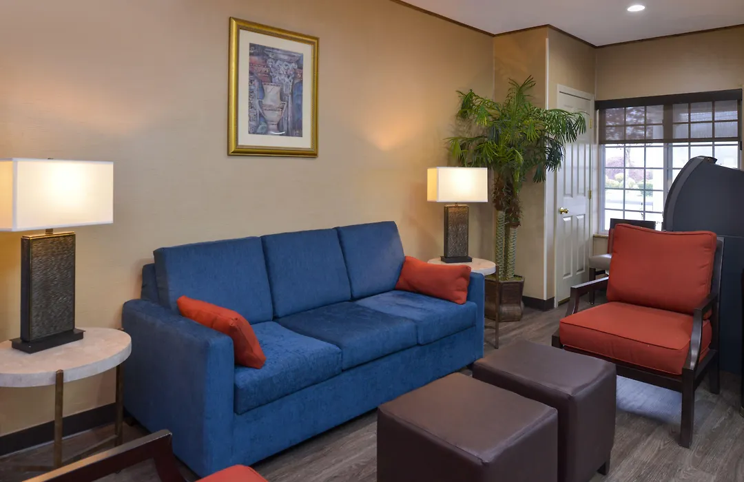 Spark By Hilton Guilford-1