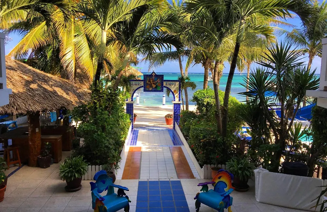 Blue Tang Inn - Beachfront Suites And Pool-1