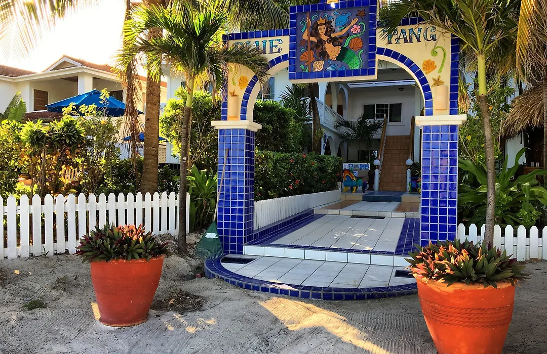 Blue Tang Inn - Beachfront Suites And Pool-1