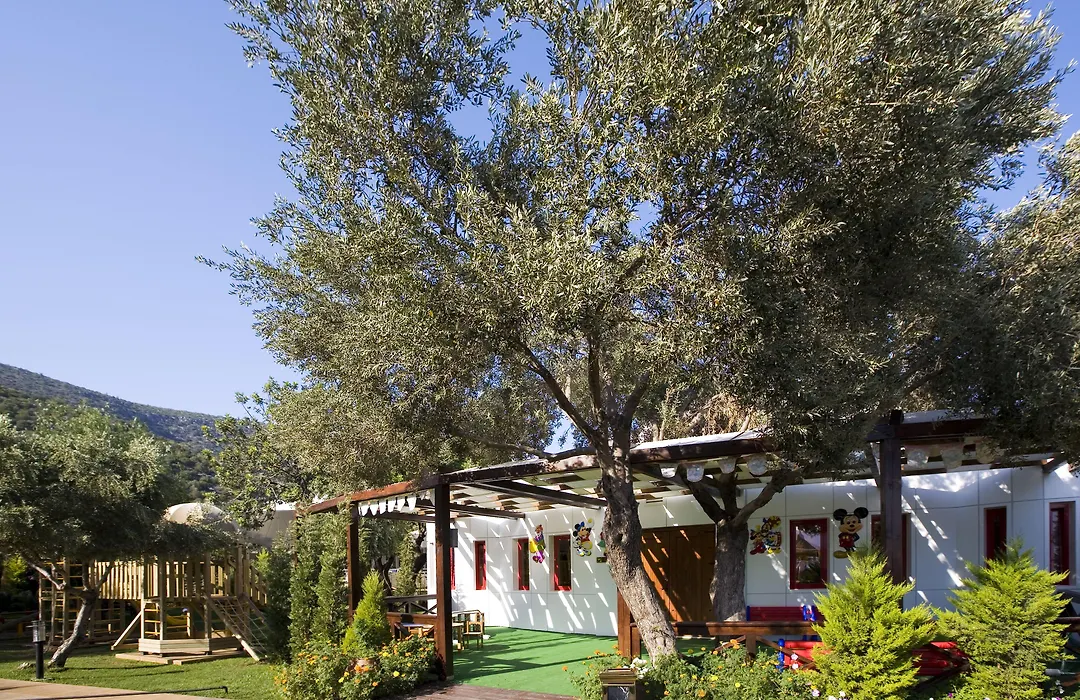 Latanya Park Resort-1