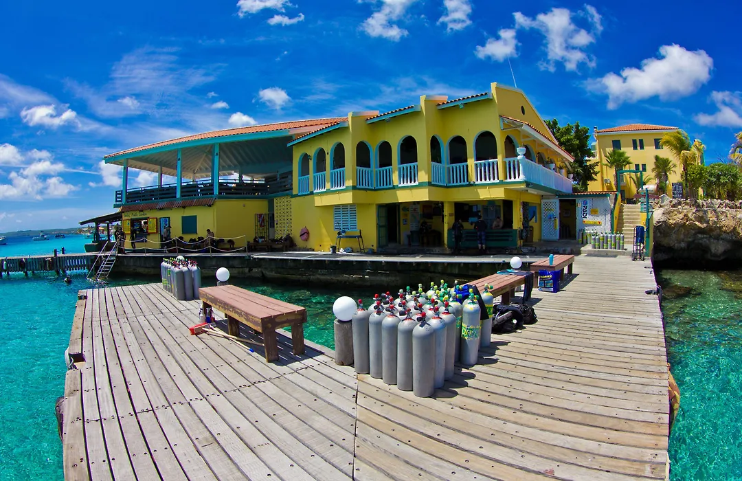 Buddy Dive Resort-1