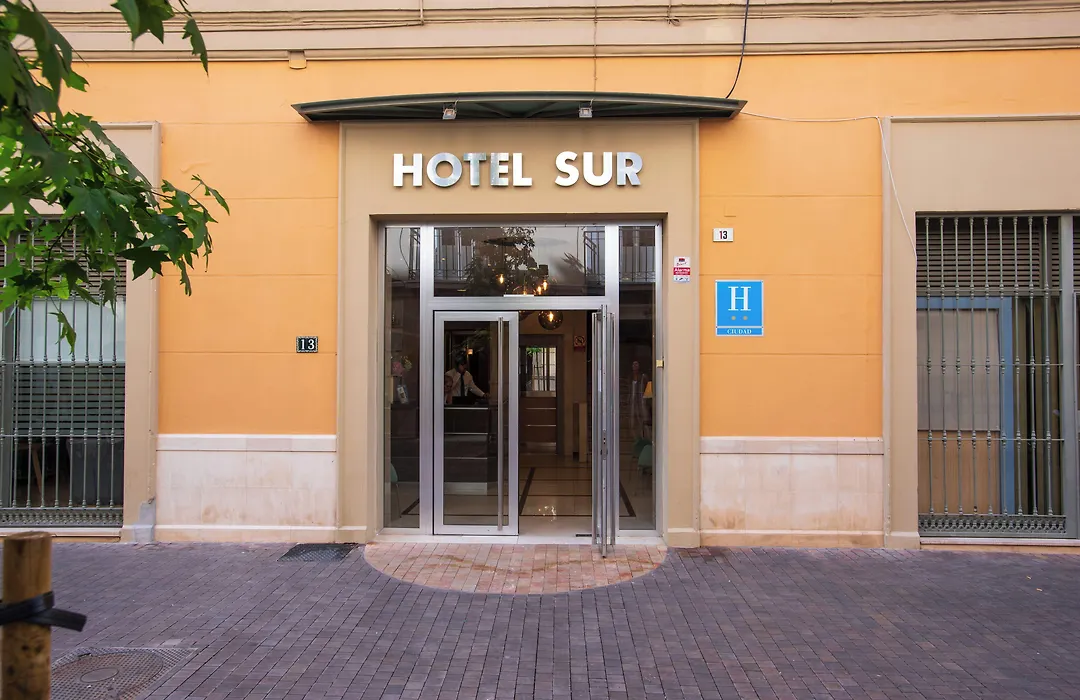 Hotel Sur Malaga-1