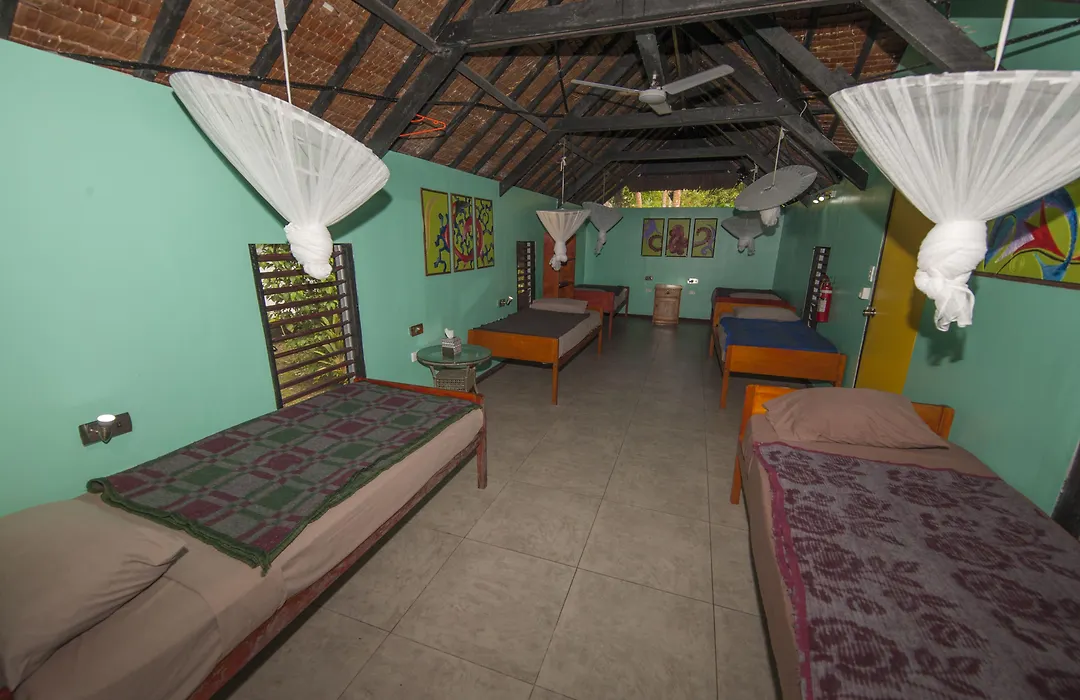 Mango Bay Resort-1