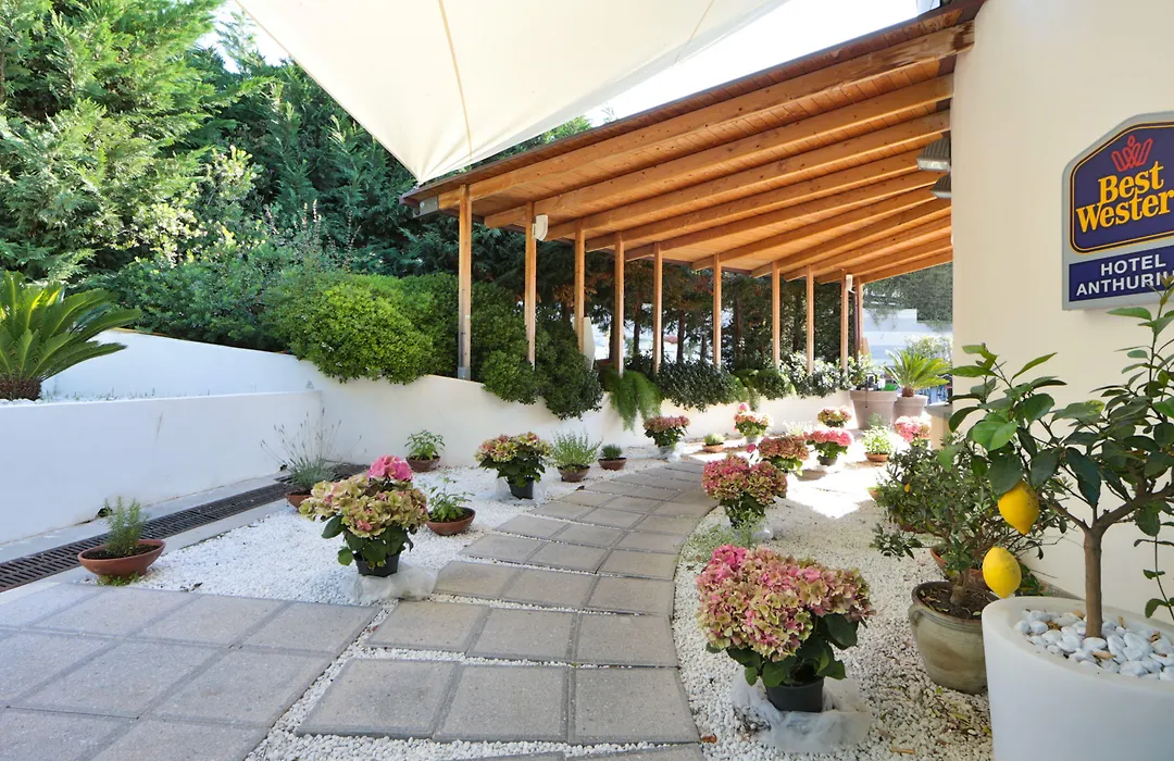 Best Western Hotel Anthurium-1