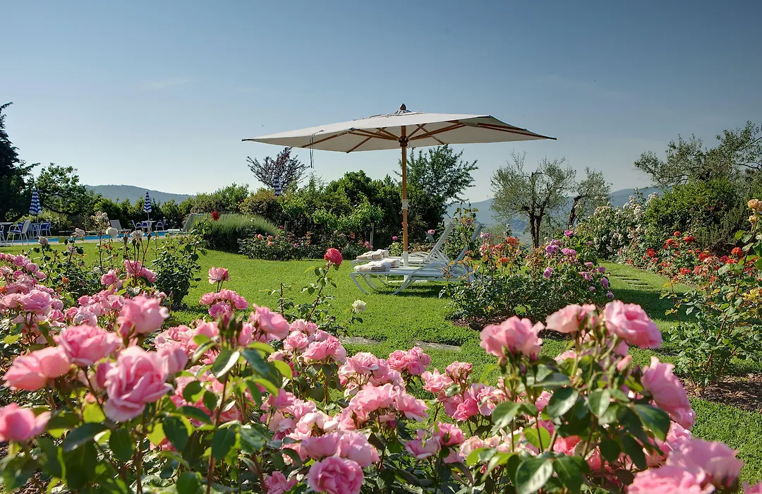 Villa Le Barone-1