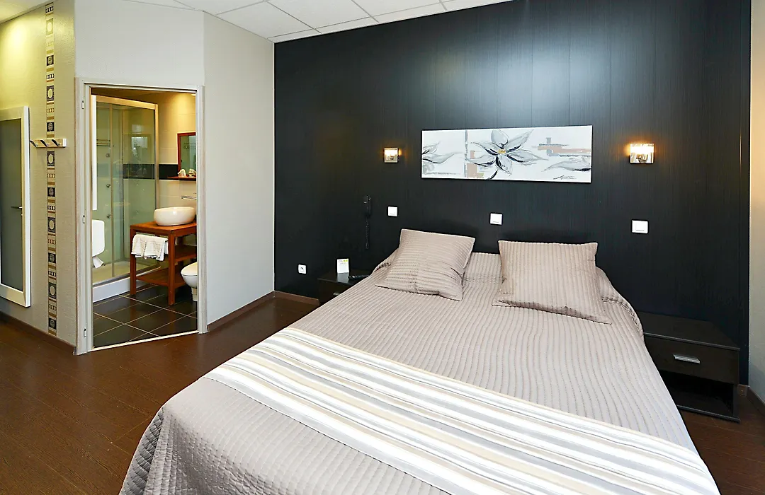 Logis Hotel Restaurant Du Midi - Rodez Centre-1