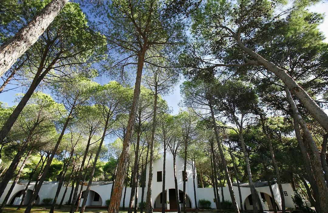 Hotel Mare Pineta-1