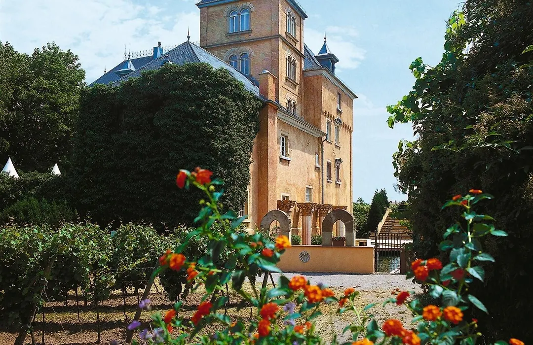 Hotel Schloss Edesheim-1