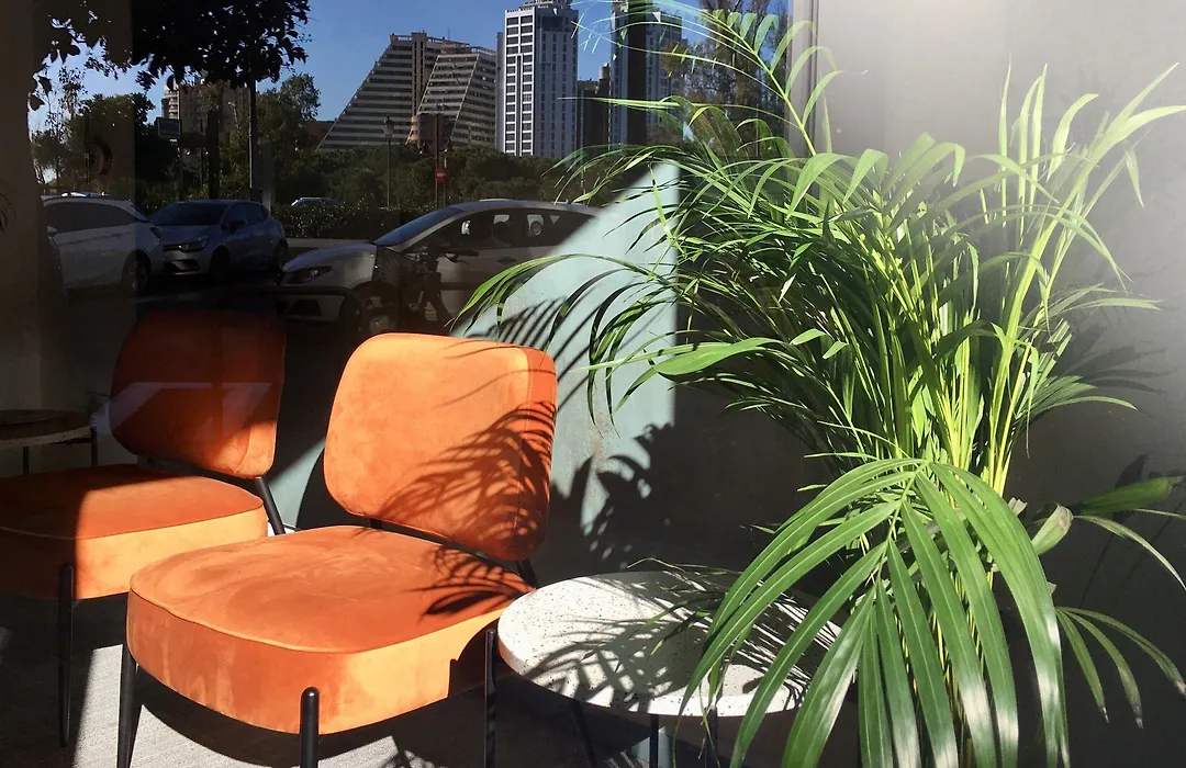 MD Modern Hotel - Jardines-1