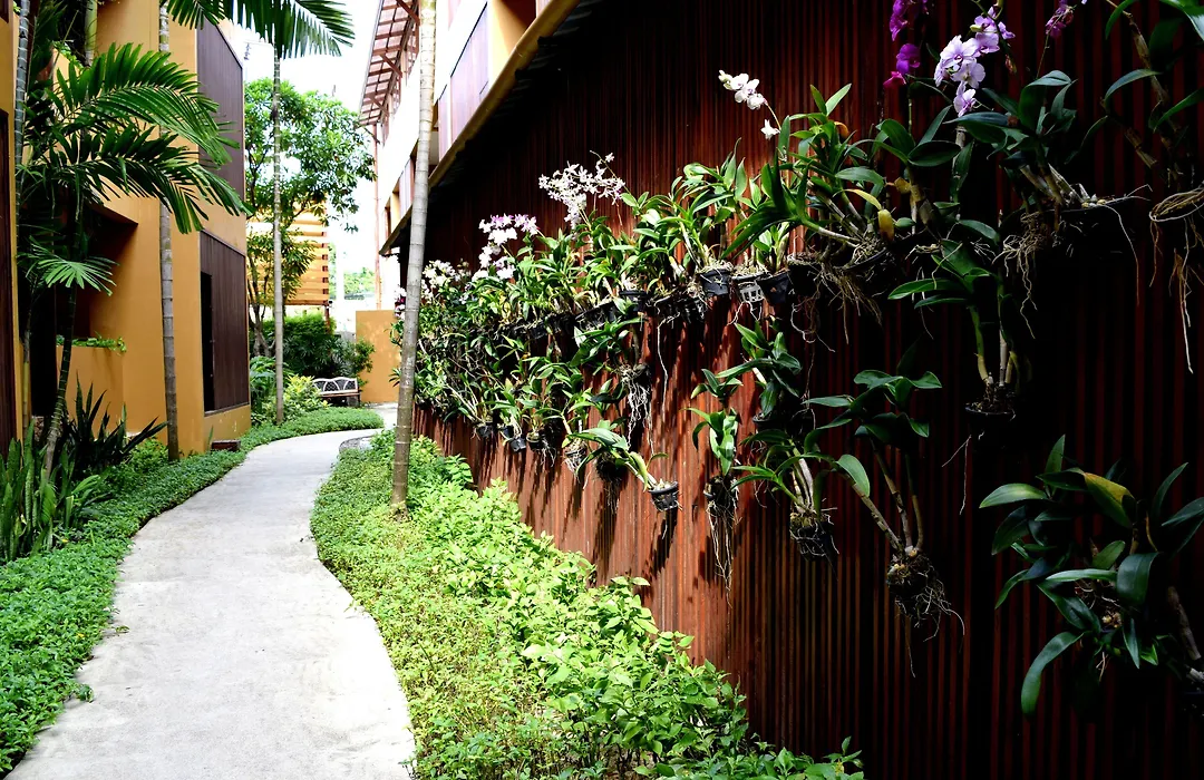 Deva Beach Resort Samui-1