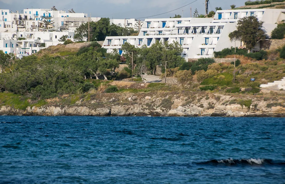 Hippocampus Hotel-1