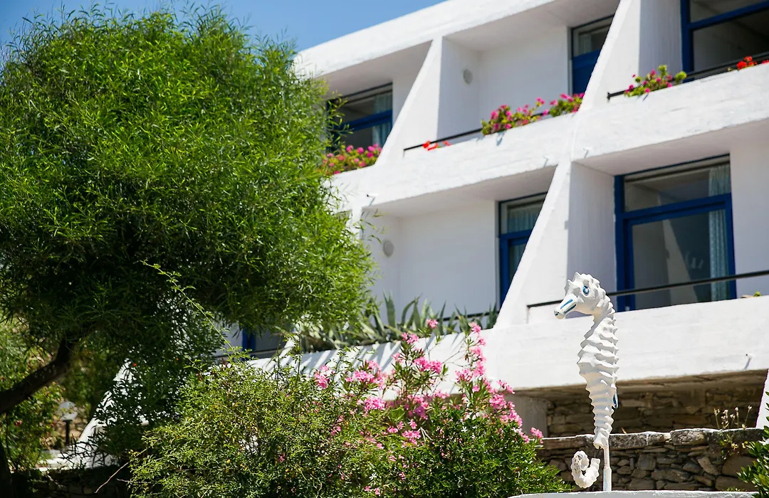 Hippocampus Hotel-1