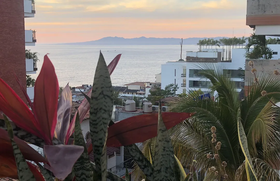 Hotel Amaca Puerto Vallarta - Adults Only-1