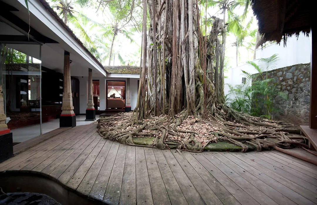 Niraamaya Wellness Retreats, Surya Samudra, Kovalam-1