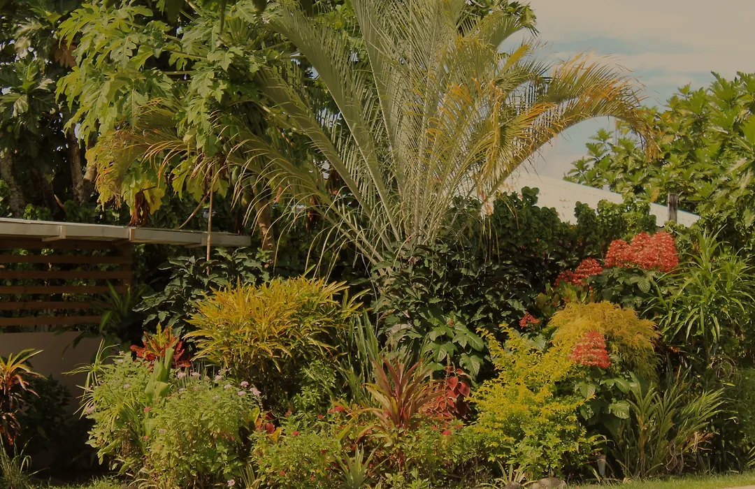 Savaii Lagoon Resort-1