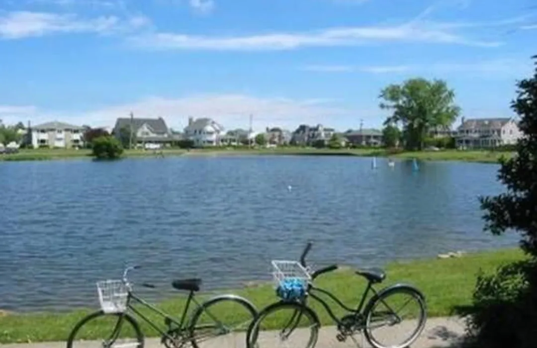 Walden On The Pond-1