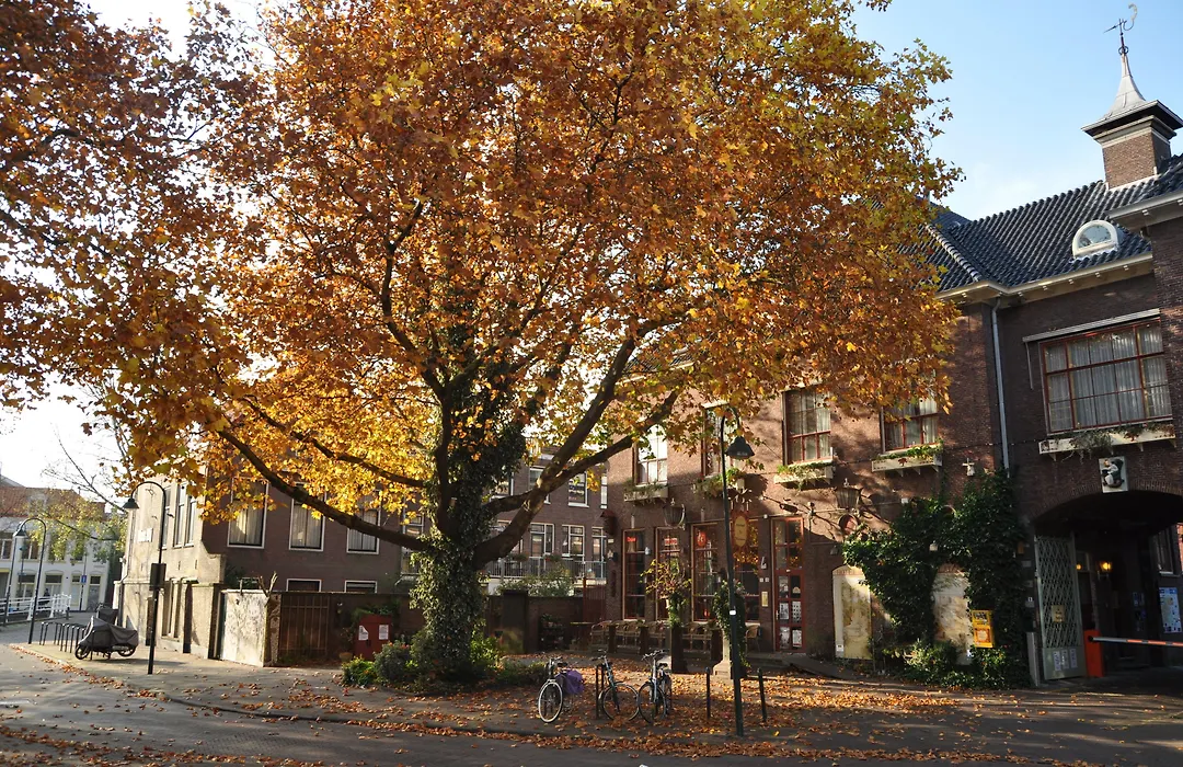 Hotel De Plataan Delft Centrum-1