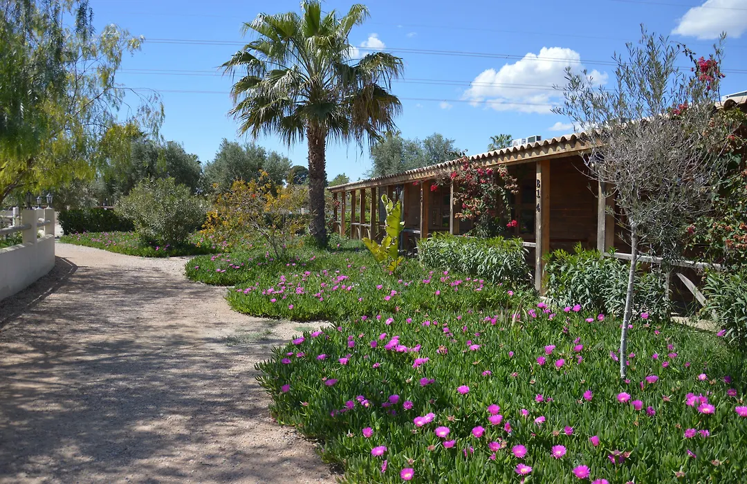 El Rancho Los Montesinos - Torrevieja-1